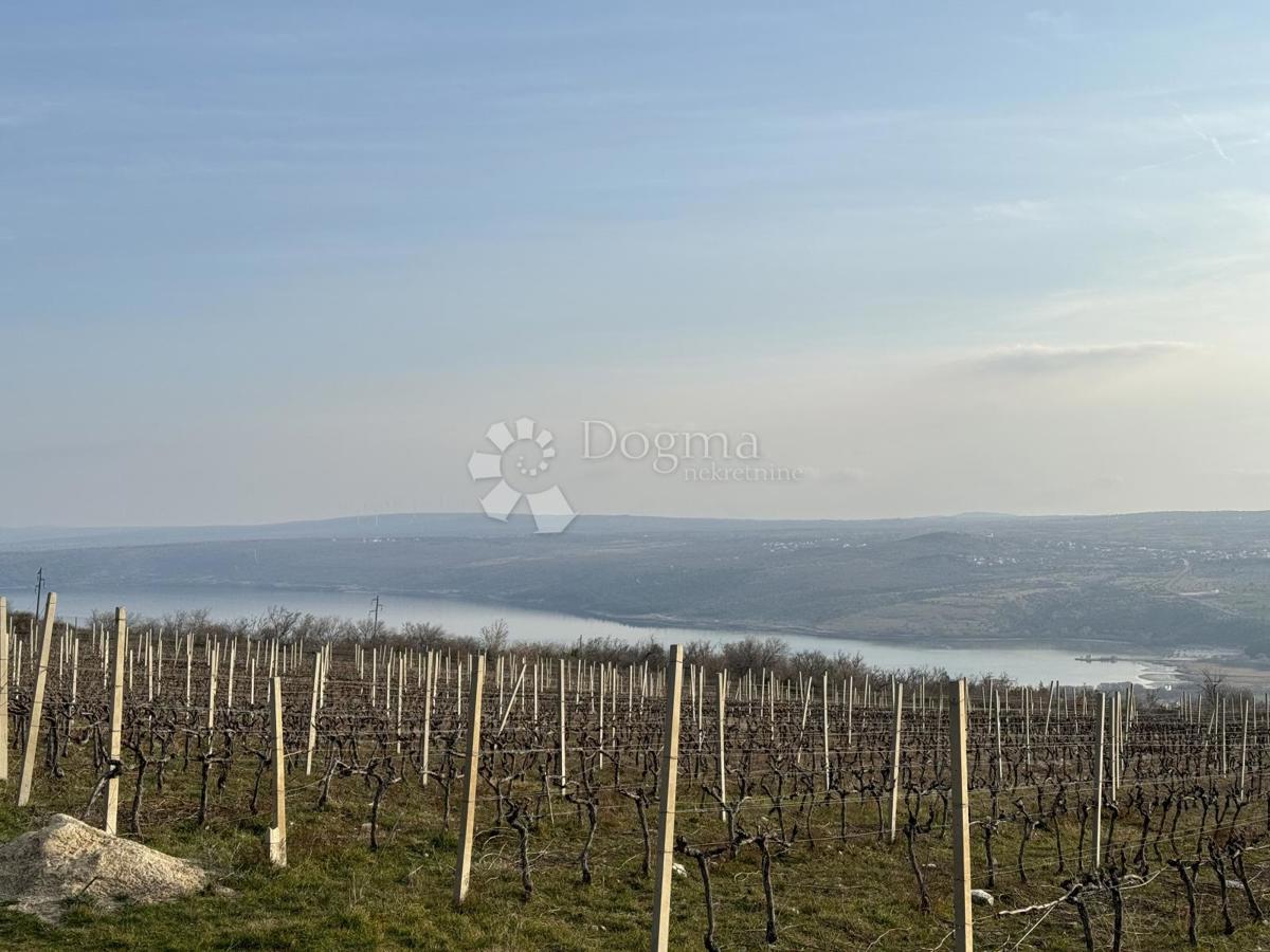 Zemljišče Posedarje, 26.125m2