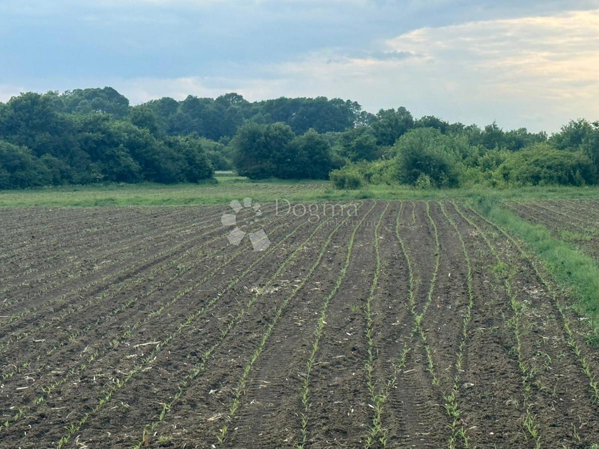 Zemljišče Ščitarjevo, Velika Gorica - Okolica, 9.263,30m2