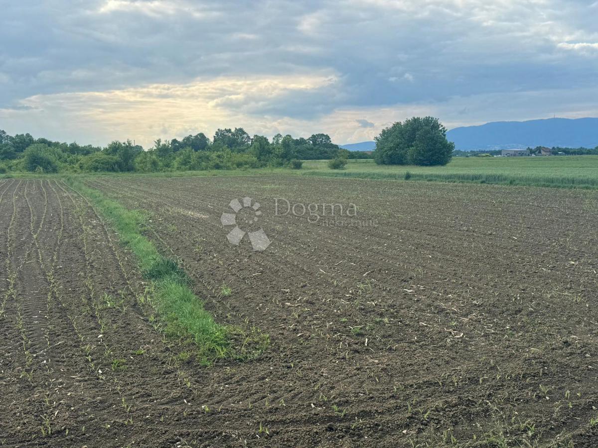 Zemljišče Ščitarjevo, Velika Gorica - Okolica, 9.263,30m2