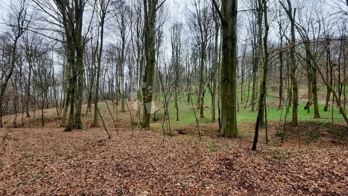 Zemljišče Gradiščak, Sveti Martin Na Muri, 15.000m2