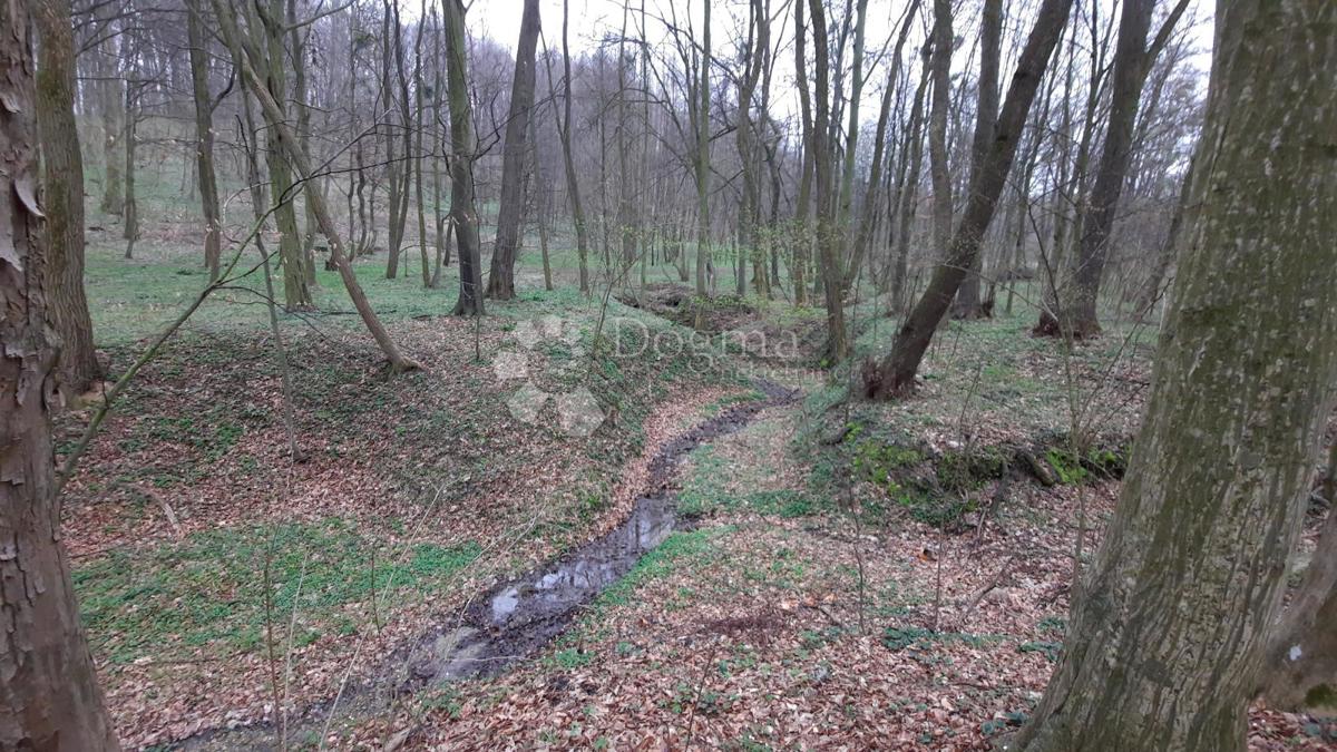 Zemljišče Gradiščak, Sveti Martin Na Muri, 15.000m2