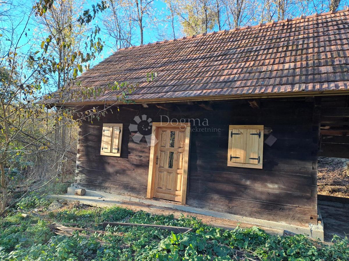 Hiša Ostrožin, Gvozd, 55m2