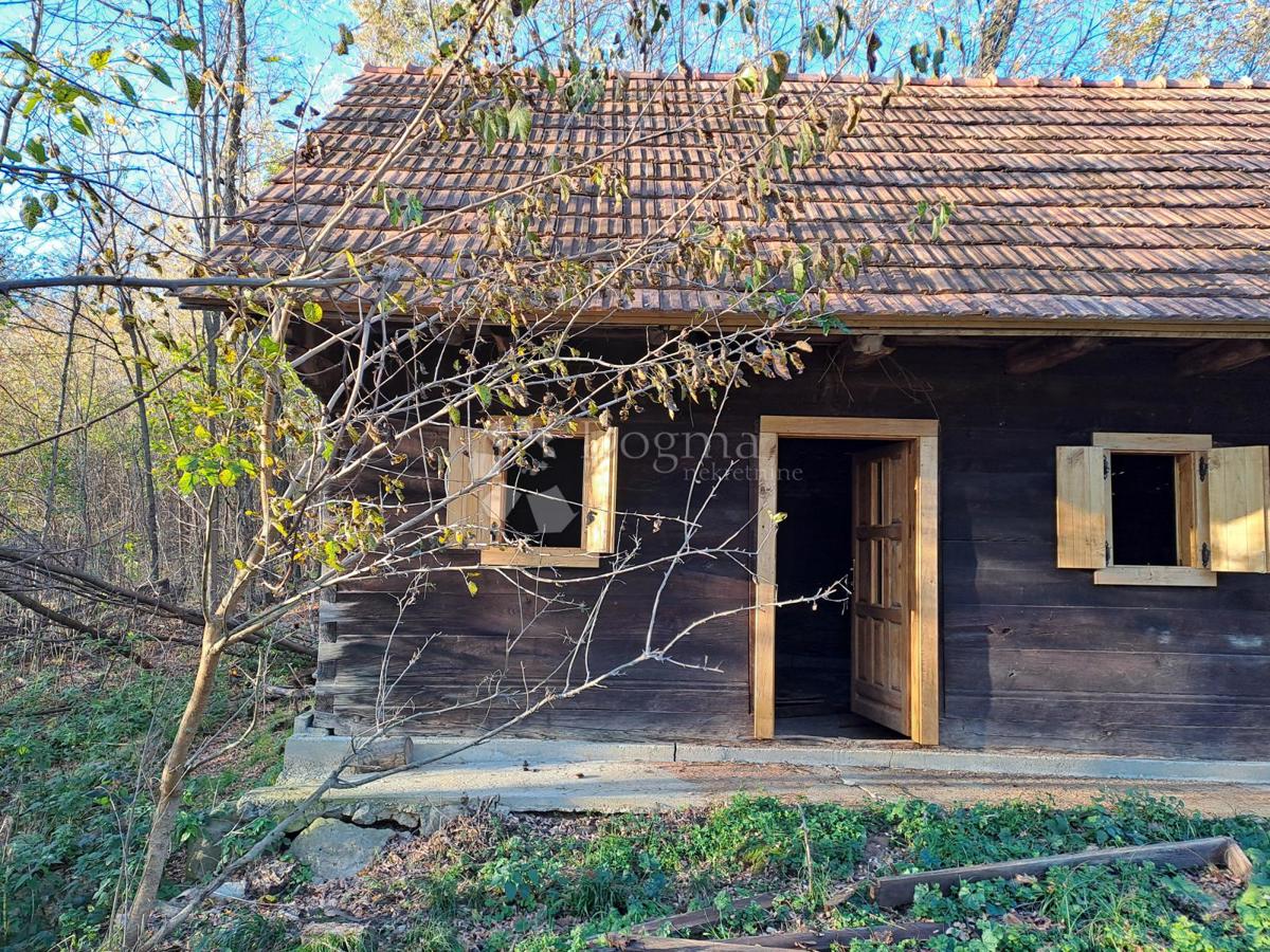 Hiša Ostrožin, Gvozd, 55m2