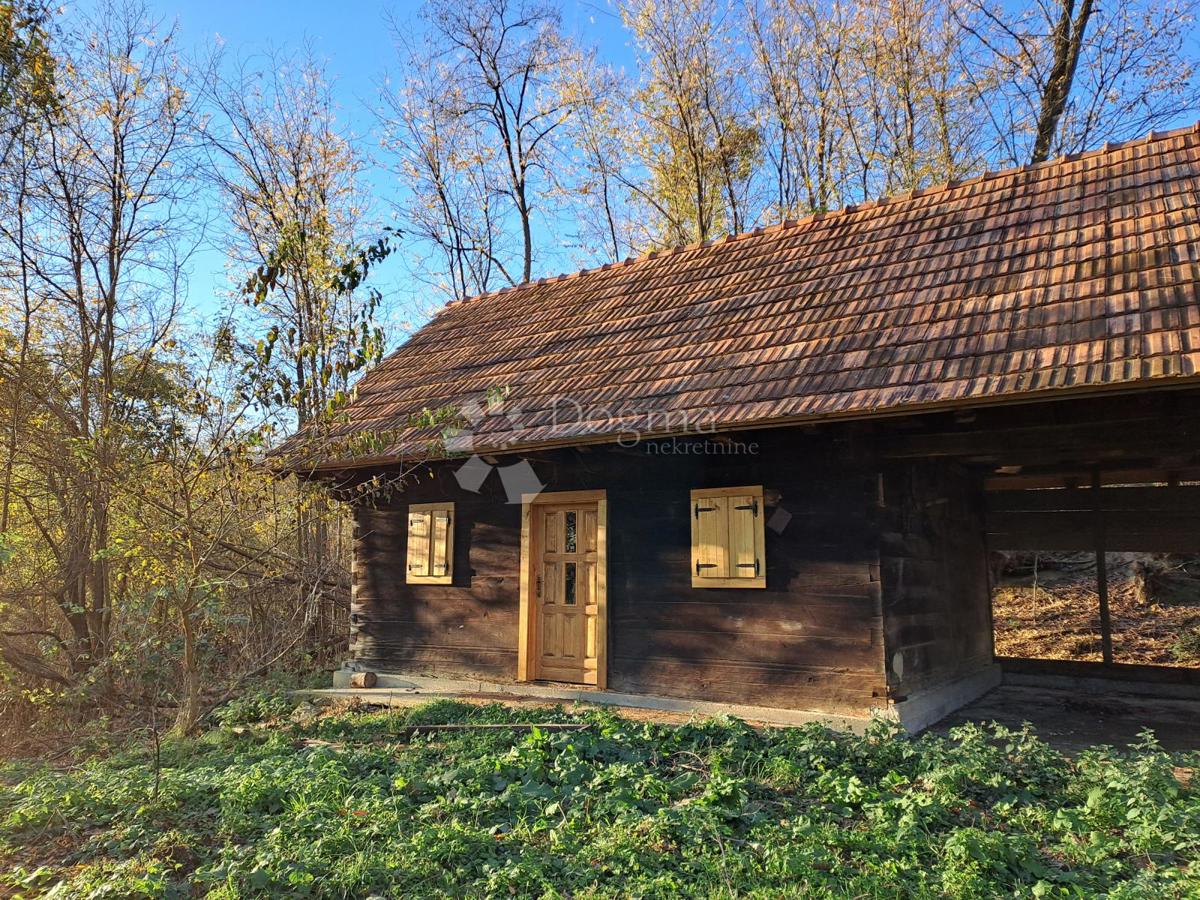 Hiša Ostrožin, Gvozd, 55m2