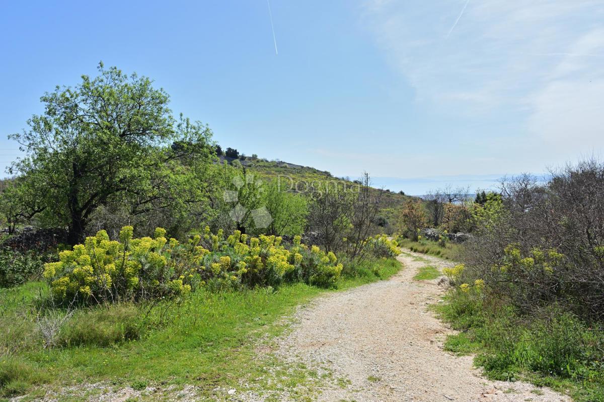 Zemljišče Seget Gornji, Seget, 13.512m2