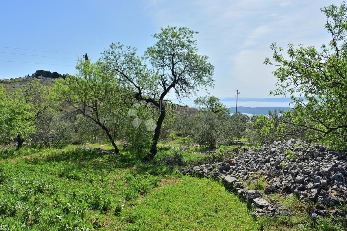 Zemljišče Seget Gornji, Seget, 13.512m2
