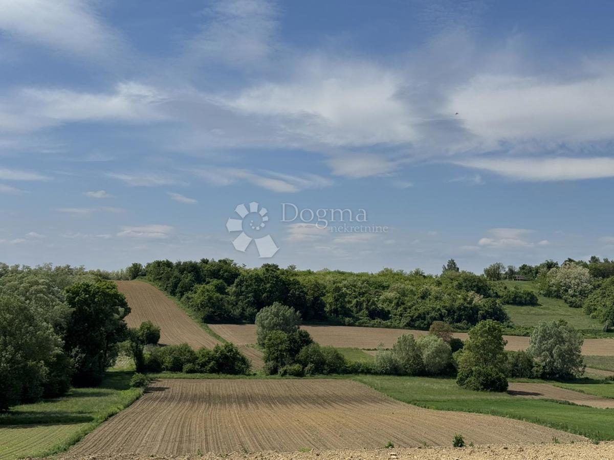 Hiša Ciglena, Bjelovar - Okolica, 140m2