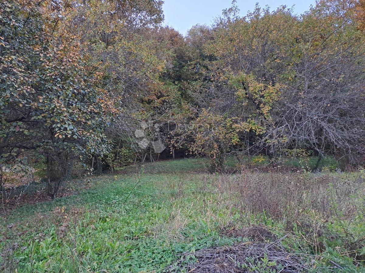 Hiša Topusko, 180m2