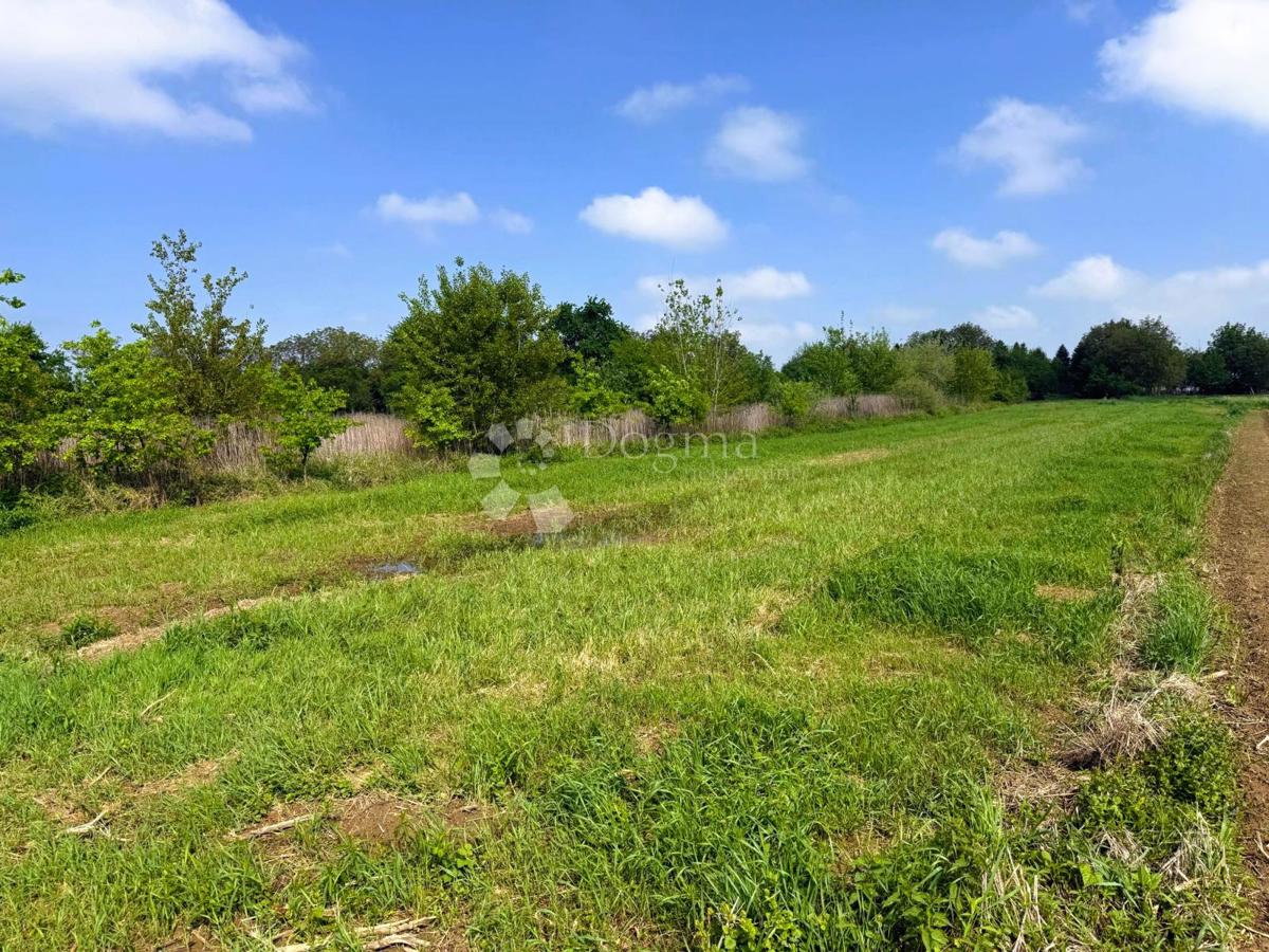 Kmetijsko zemljišče Miklinovec, Koprivnica, 2.935m2