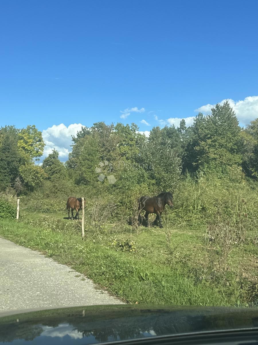 Zazidljivo zemljišče Divoselo, Gospić - Okolica, 5.000m2