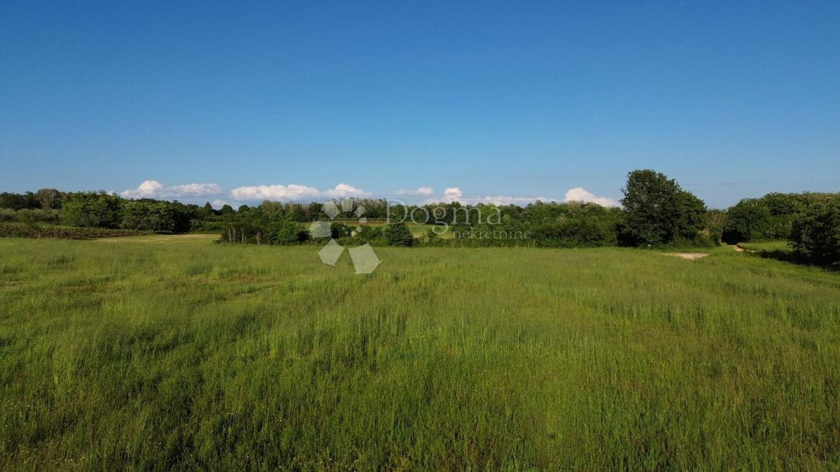 Zazidljivo zemljišče Poreč, 702m2