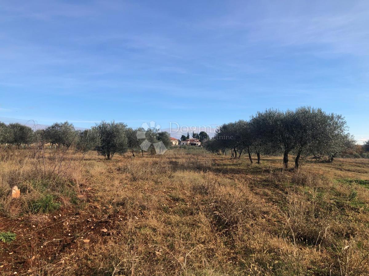 Zazidljivo zemljišče Umag, 9.375m2