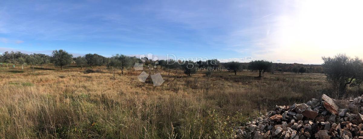 Zazidljivo zemljišče Umag, 9.375m2
