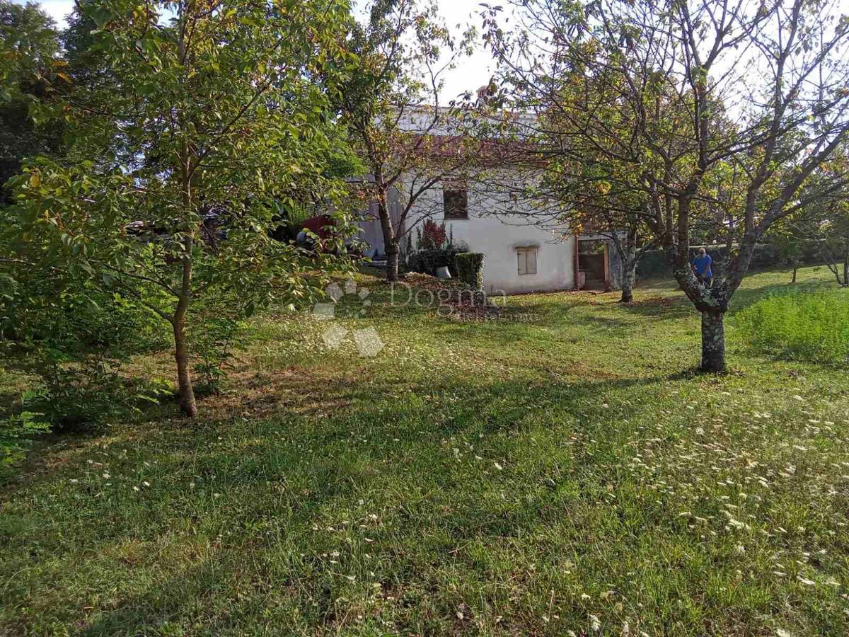 Hiša s prostorno gradbeno parcelo – Pazin