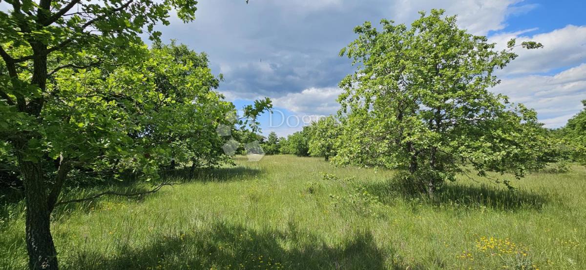 Kmetijsko zemljišče Kranjčići, Svetvinčenat, 26.232m2