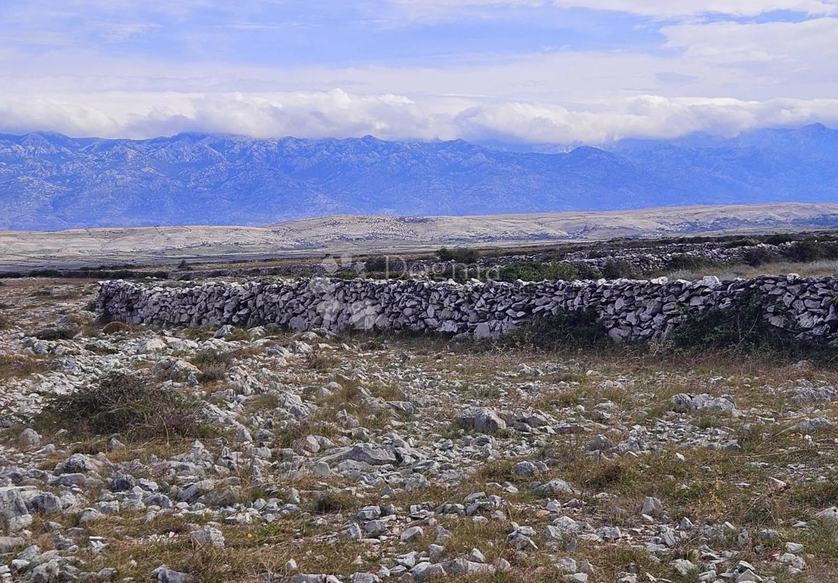 Kmetijsko zemljišče Povljana, 7.826m2