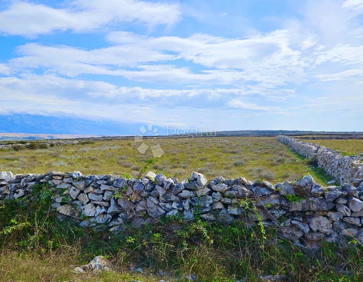 Kmetijsko zemljišče Povljana, 7.826m2
