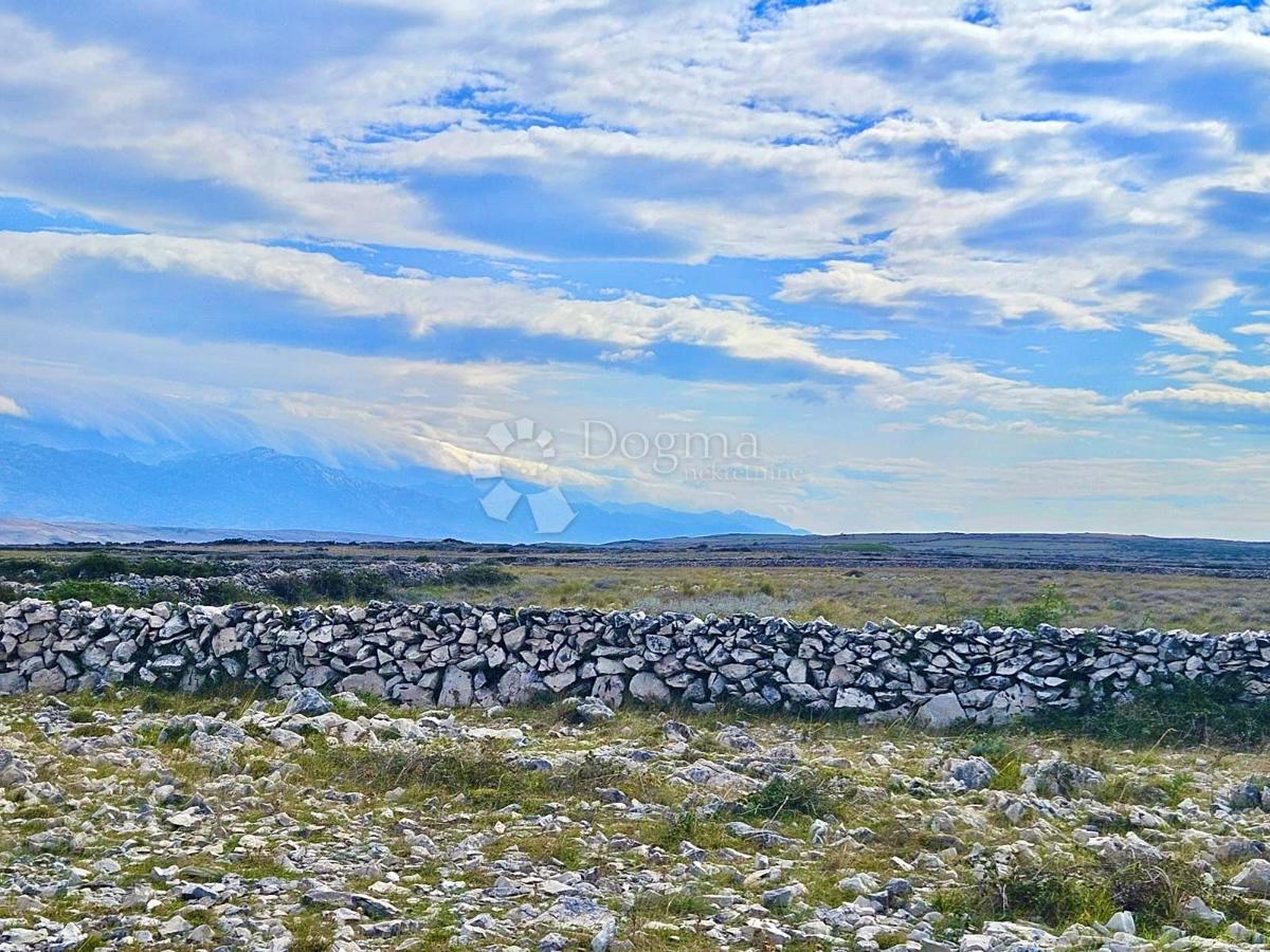 Kmetijsko zemljišče Povljana, 7.826m2