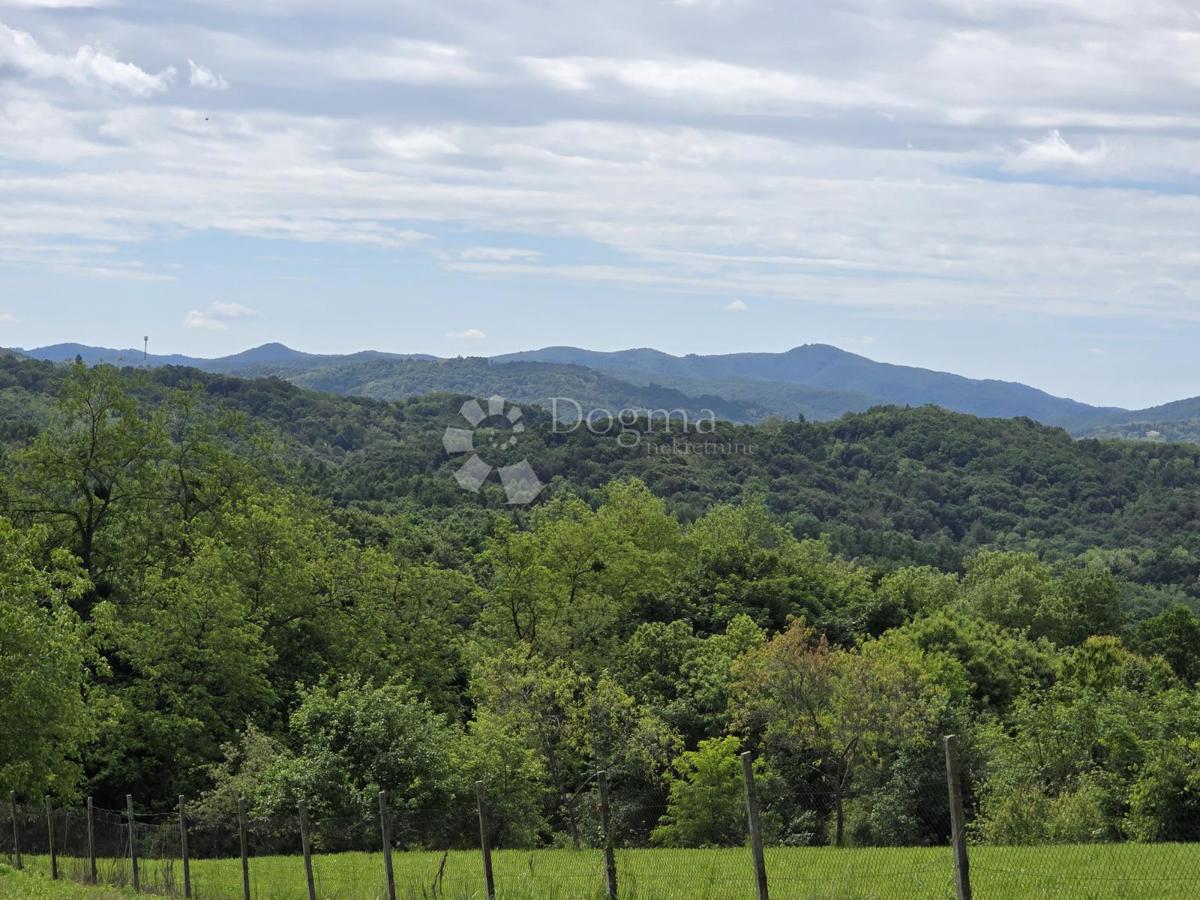 Poslovni prostor Leštakovec, Jalžabet, 714,34m2