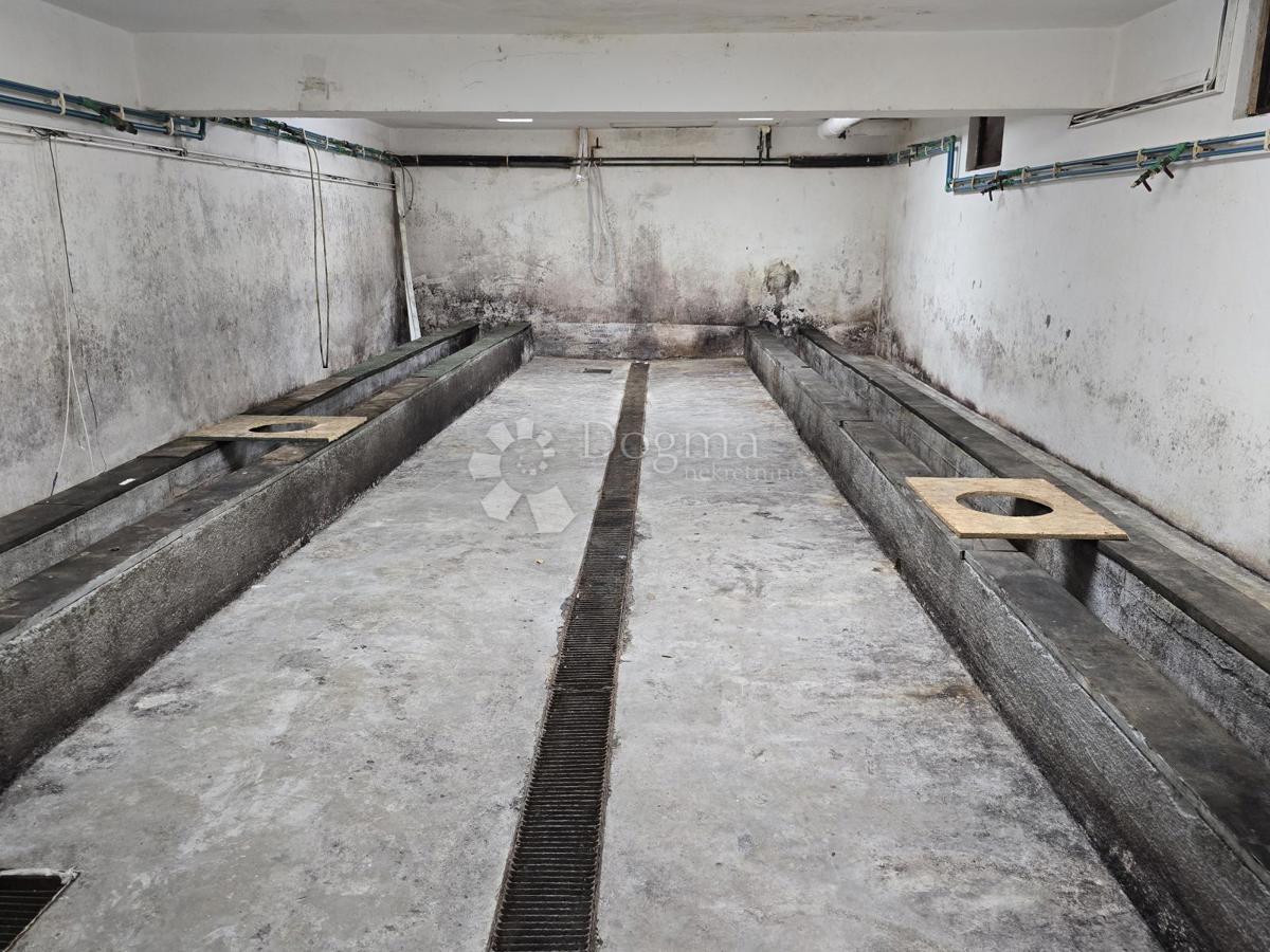 Poslovni prostor Leštakovec, Jalžabet, 714,34m2