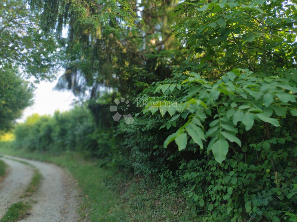 Hiša Gornja Trstenica, Gvozd, 50m2