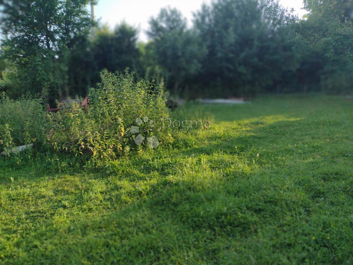 Hiša Gornja Trstenica, Gvozd, 50m2