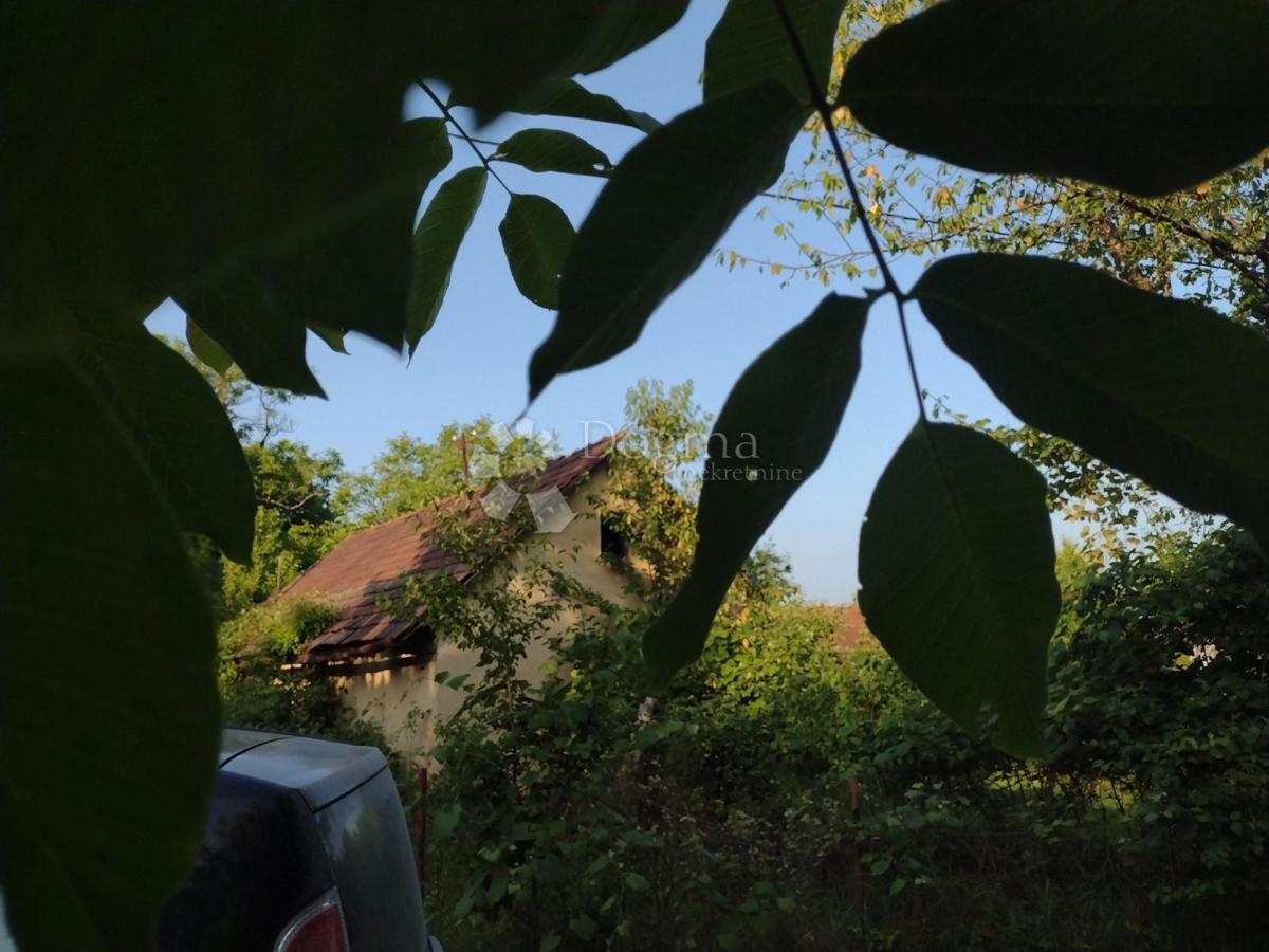 Hiša Gornja Trstenica, Gvozd, 50m2