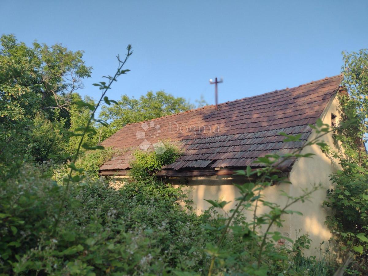 Hiša Gornja Trstenica, Gvozd, 50m2