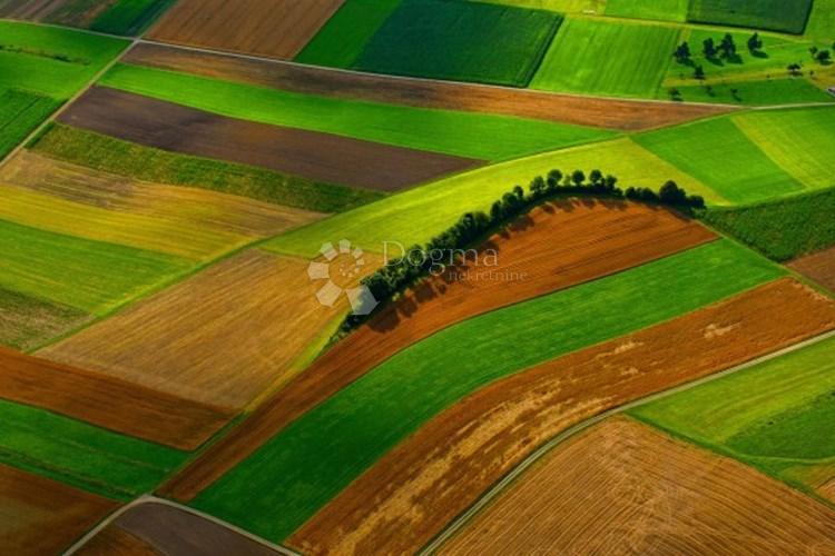 Kmetijsko zemljišče Sveti Rok, Lovinac, 700m2