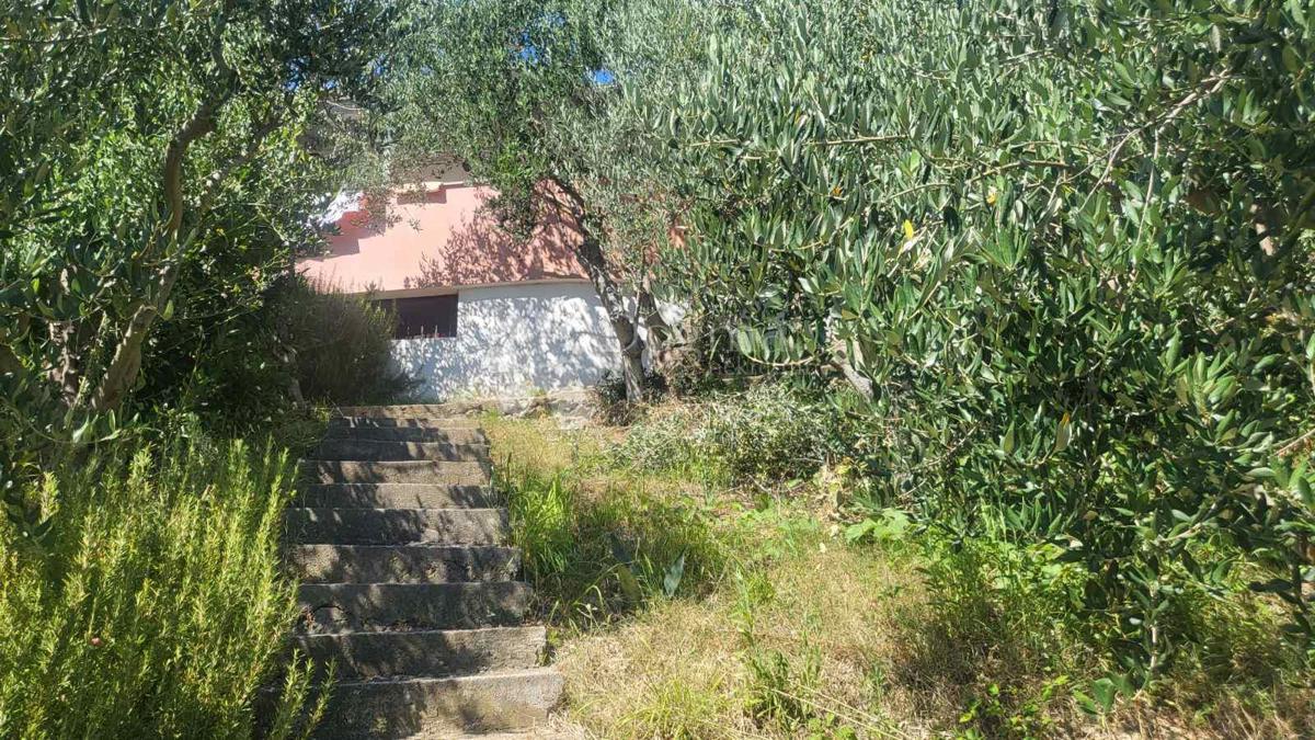 Rtina – prva vrsta do morja, zemljišče s hišo in oljčnim nasadom