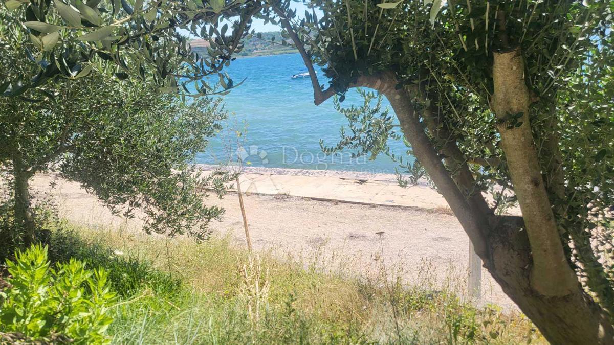 Rtina – prva vrsta do morja, zemljišče s hišo in oljčnim nasadom