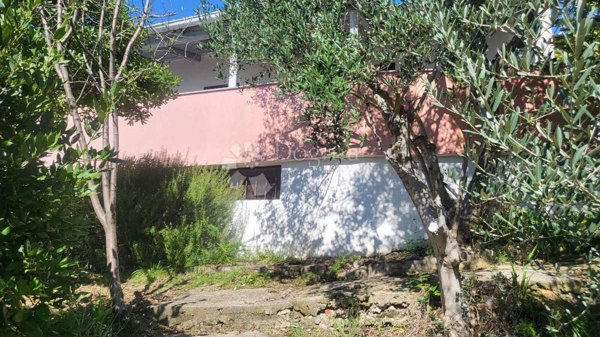 Rtina – prva vrsta do morja, zemljišče s hišo in oljčnim nasadom