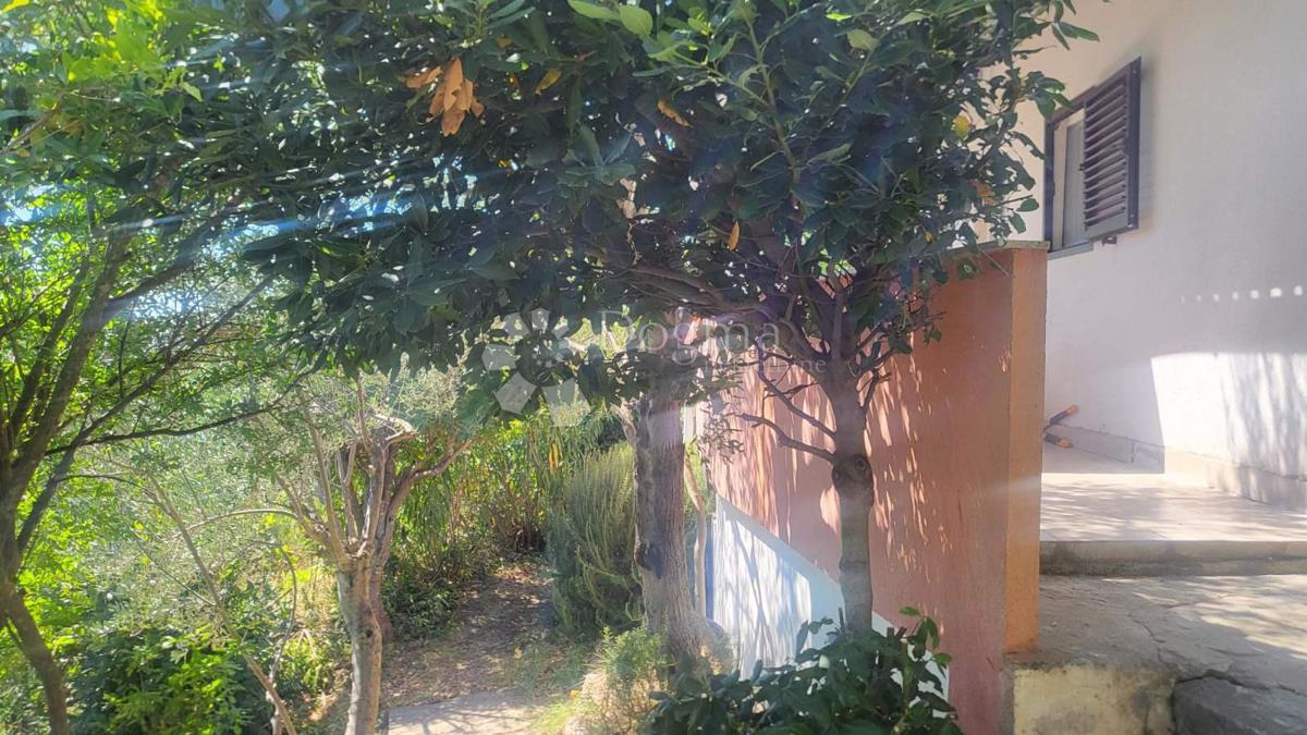 Rtina – prva vrsta do morja, zemljišče s hišo in oljčnim nasadom