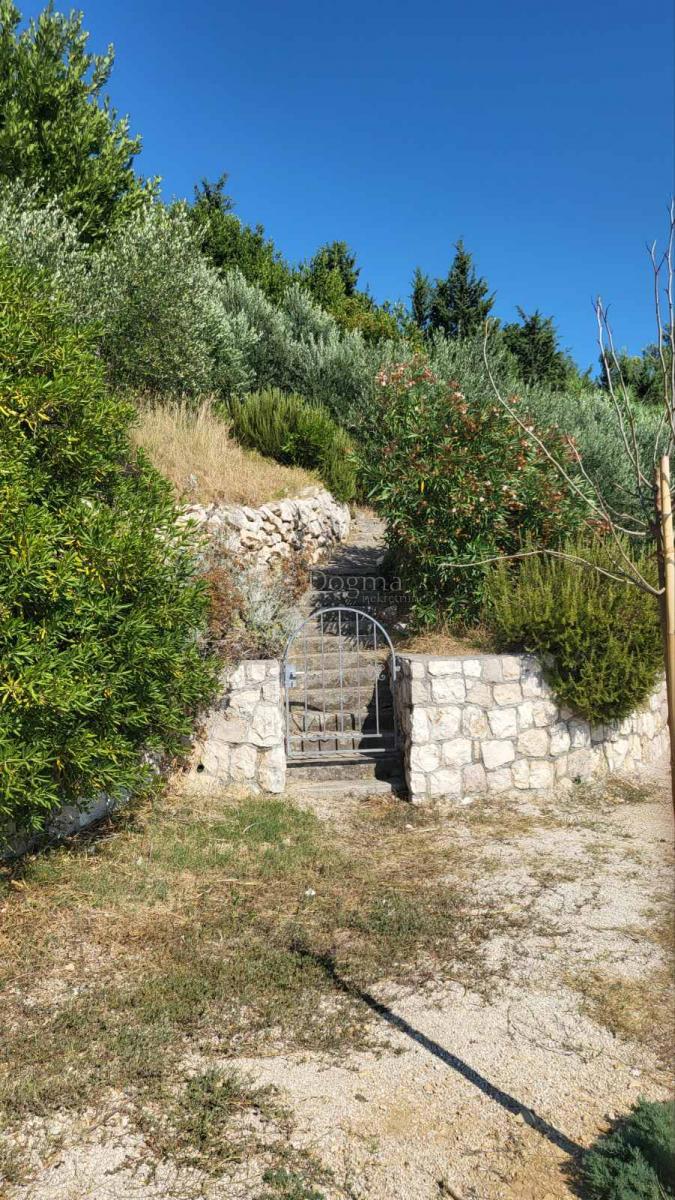Rtina – prva vrsta do morja, zemljišče s hišo in oljčnim nasadom