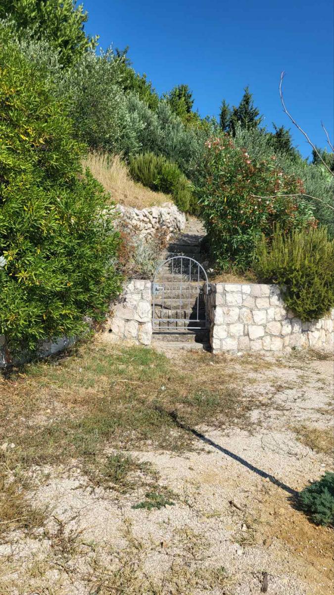 Rtina – prva vrsta do morja, zemljišče s hišo in oljčnim nasadom