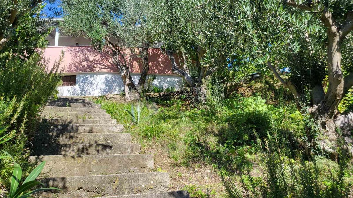 Rtina – prva vrsta do morja, zemljišče s hišo in oljčnim nasadom