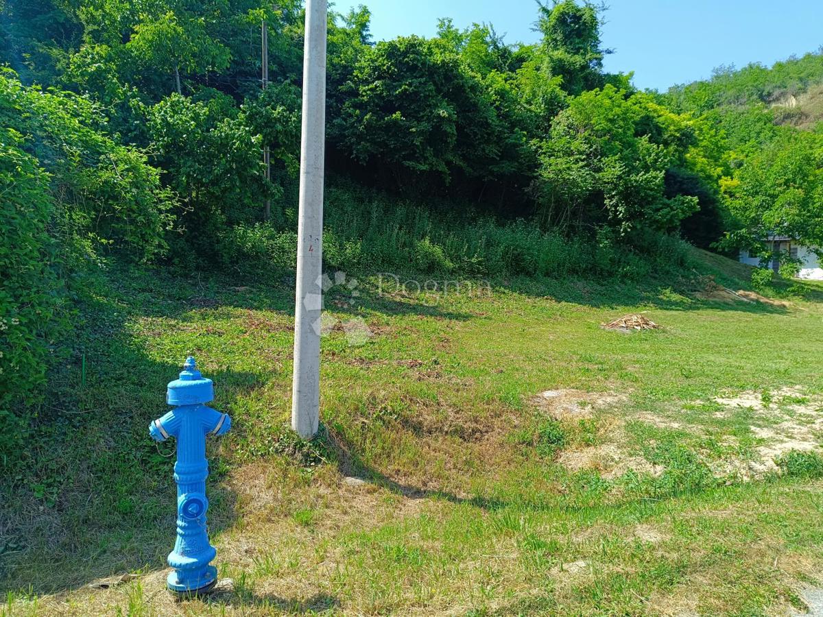 Kmetijsko zemljišče Batina, Draž, 2.836m2