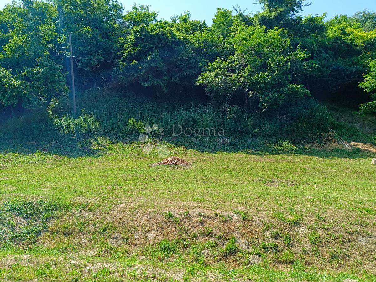 Kmetijsko zemljišče Batina, Draž, 2.836m2