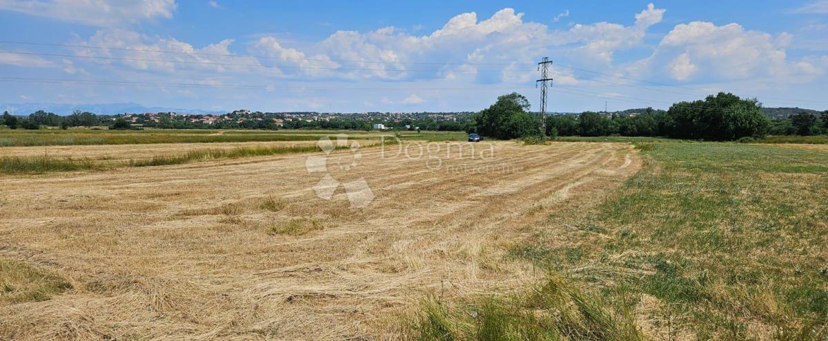 Kmetijsko zemljišče Benkovac 1538 m2 dostop