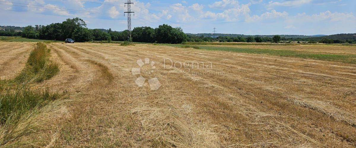 Kmetijsko zemljišče Benkovac 1538 m2 dostop