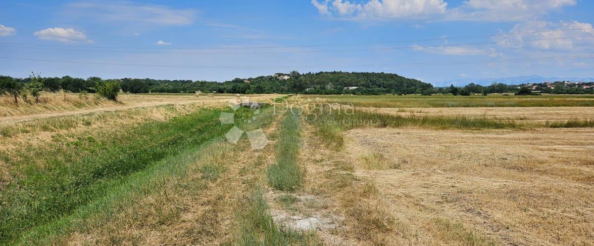 Kmetijsko zemljišče Benkovac 1538 m2 dostop
