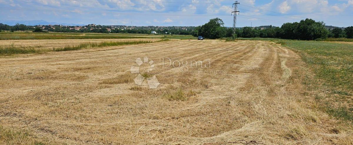 Kmetijsko zemljišče Benkovac 1538 m2 dostop