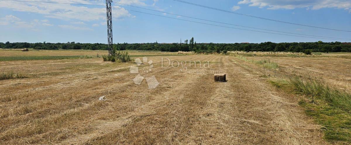 Kmetijsko zemljišče Benkovac 1538 m2 dostop