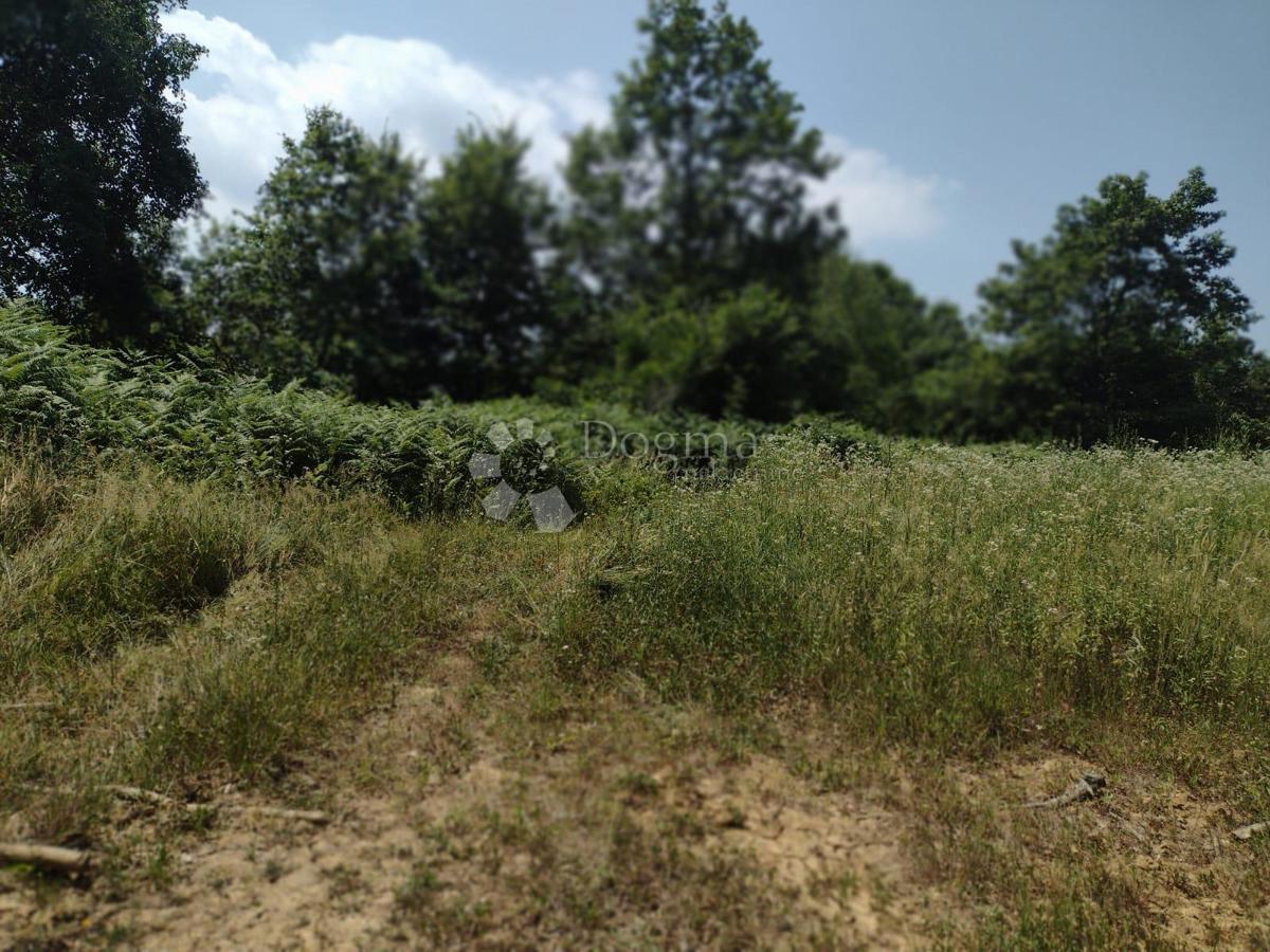 Kmetijsko zemljišče Dugo Selo Lasinjsko, Gvozd, 11.505m2