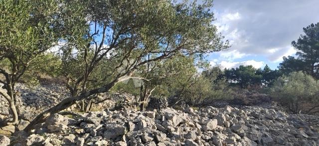 Kmetijsko zemljišče Krk, 4.032m2