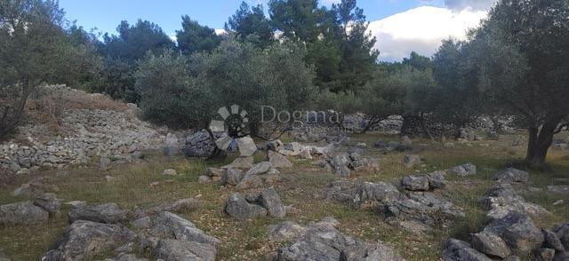 Kmetijsko zemljišče Krk, 4.032m2