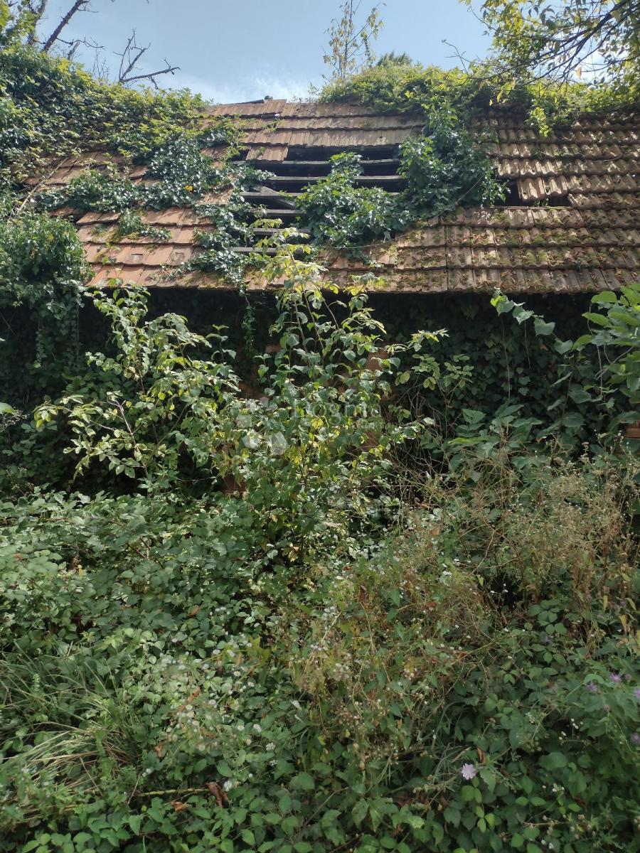 Hiša Čremušnica, Gvozd, 40m2