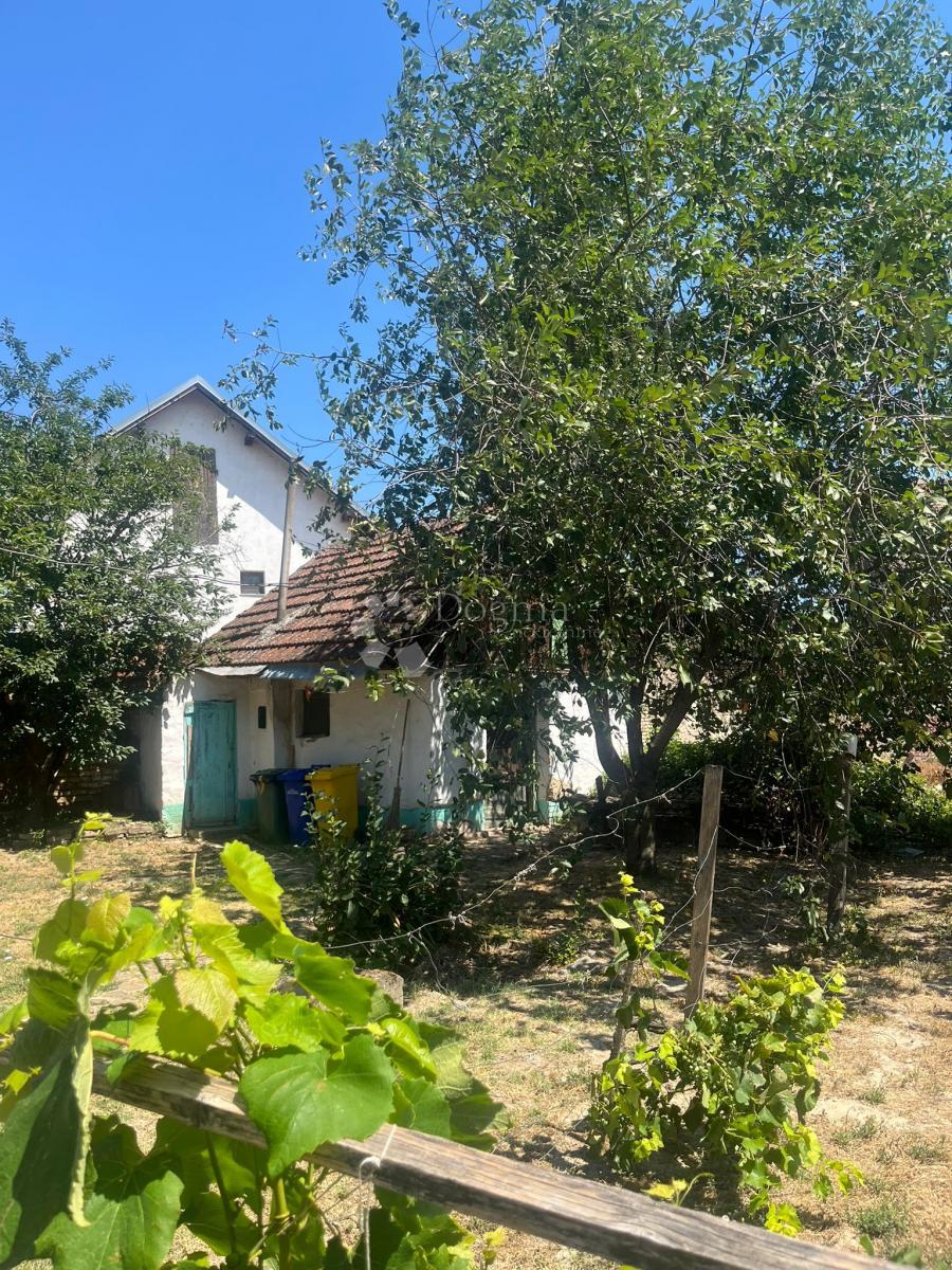 Hiša Kneževi Vinogradi, 508m2