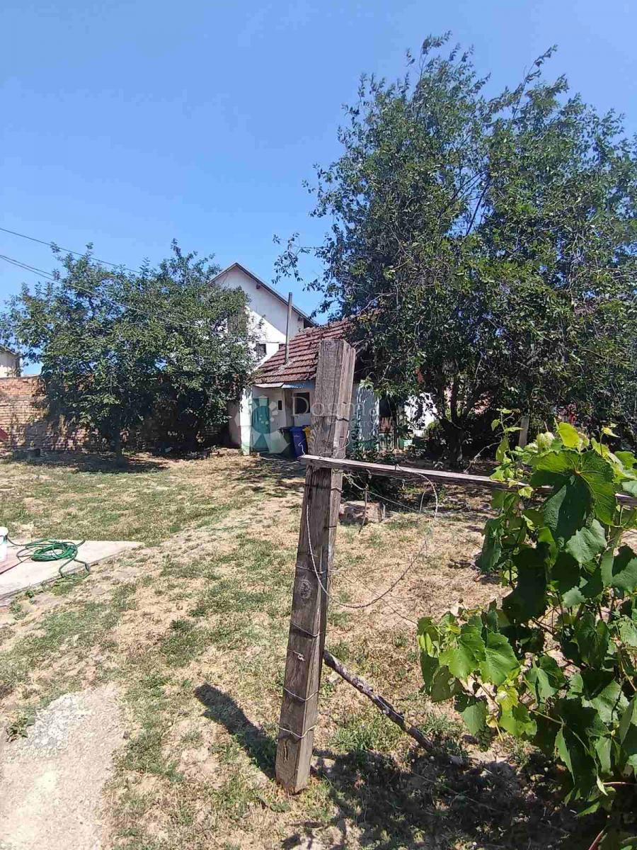 Hiša Kneževi Vinogradi, 508m2