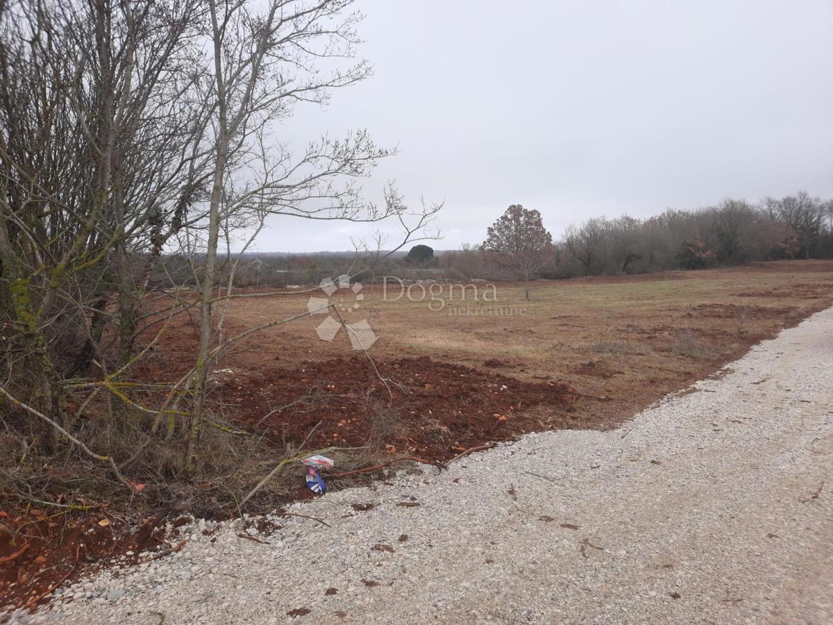 Kmetijsko zemljišče Vodnjan, 520m2